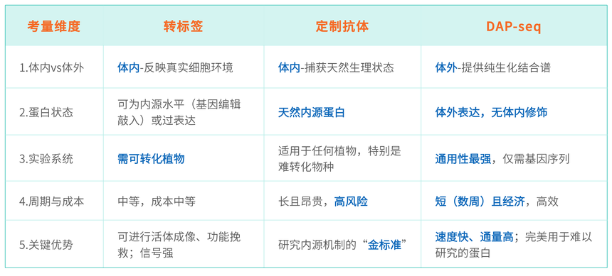 1763532913944724.png 表格.png