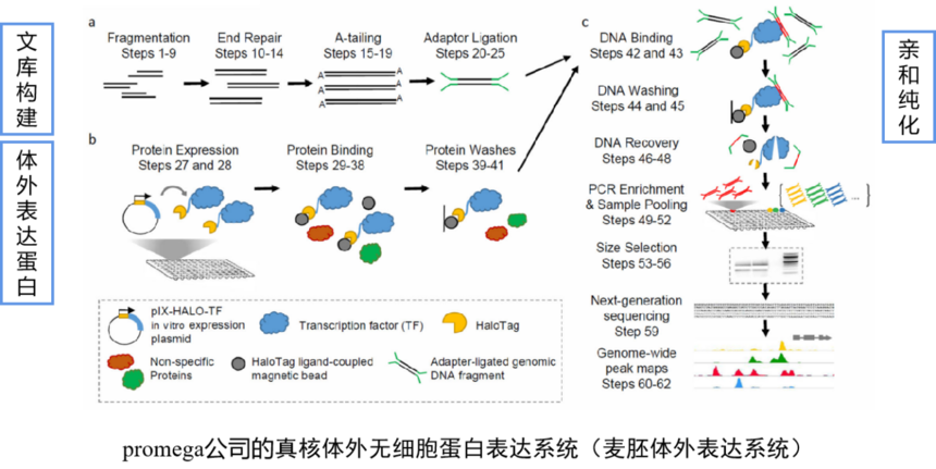 1763533087112995.png 图片3.png