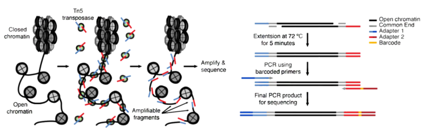 1763693123136522.png 图片2.png