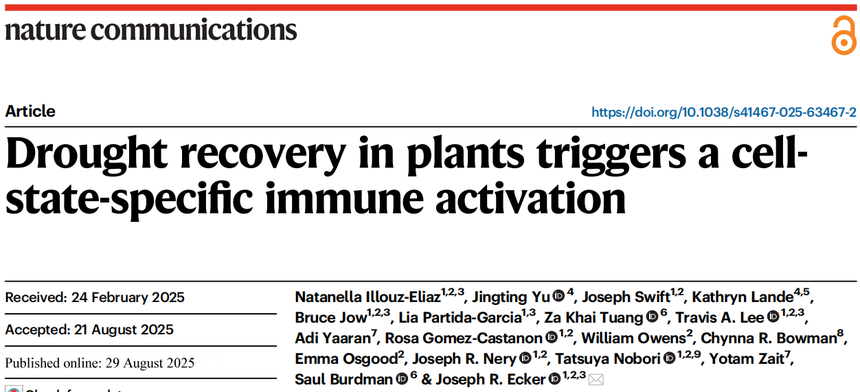 1763714487144574.png 图片1.png