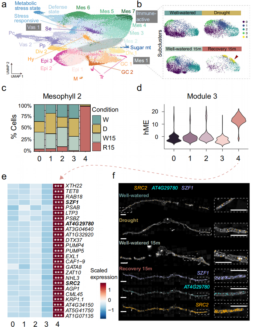 1763714498474791.png 图片2.png