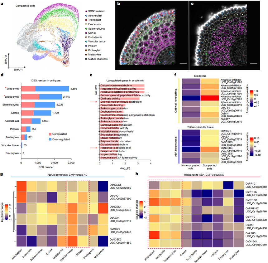 1763714521855989.png 图片4.png