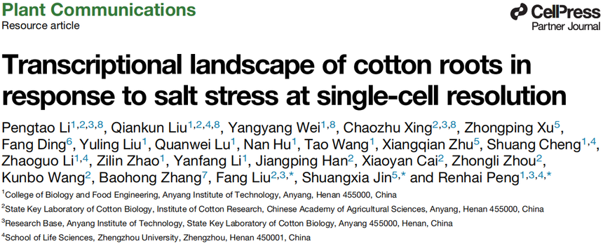 1763714531792312.png 图片5.png