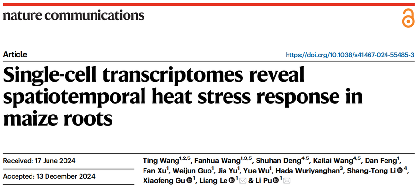 1763714552477192.png 图片7.png