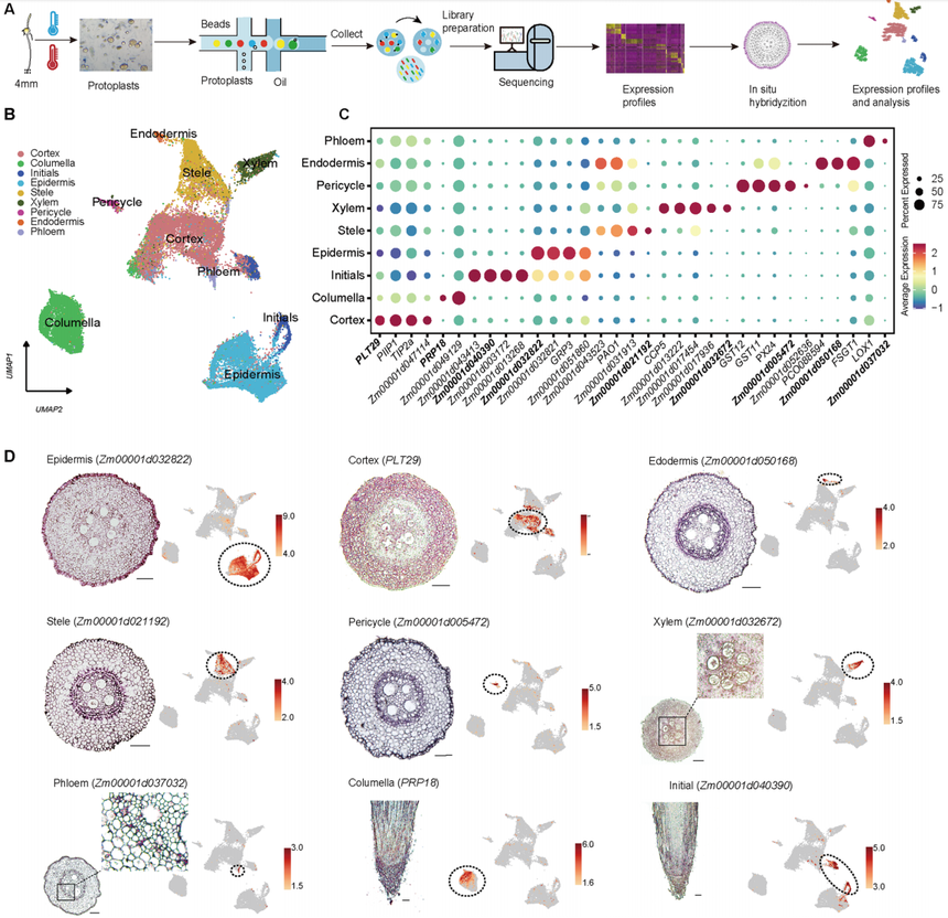 1763714563652043.png 图片8.png