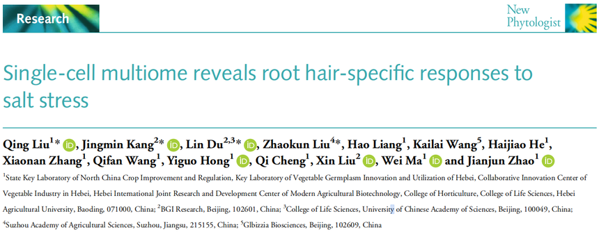 1763714572940535.png 图片9.png