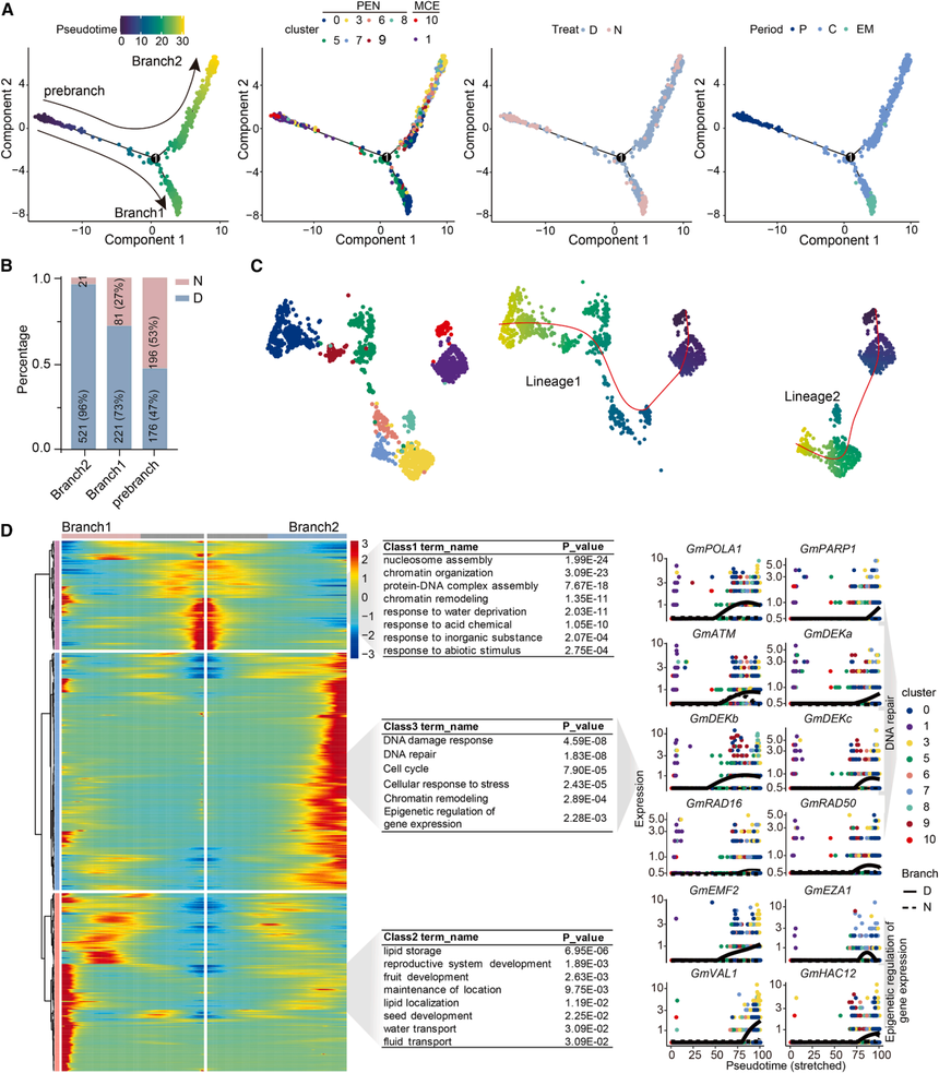 1763714604266168.png 图片12.png