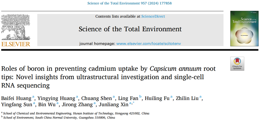 1763714614888353.png 图片13.png