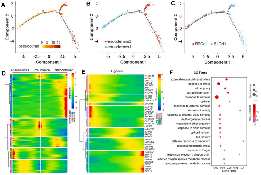 1763714627274784.png 图片14.png