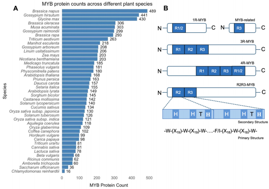 1764146781861434.png 图片2.png