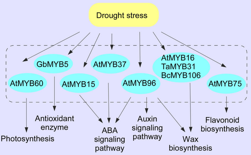 1764146850109393.png 图片5.png