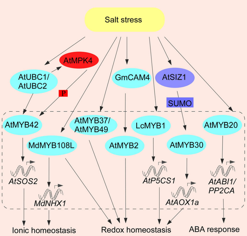 1764146866371940.png 图片6.png