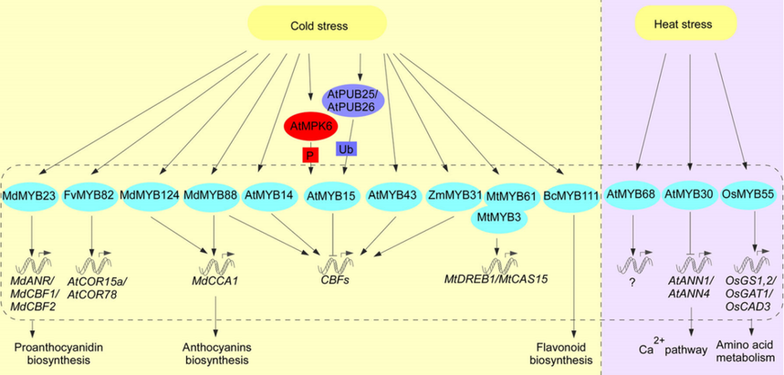 1764146877415146.png 图片7.png