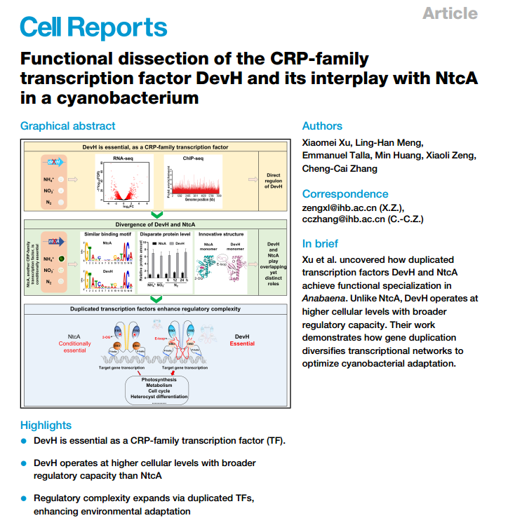 1764147252697258.png 图片 1.png