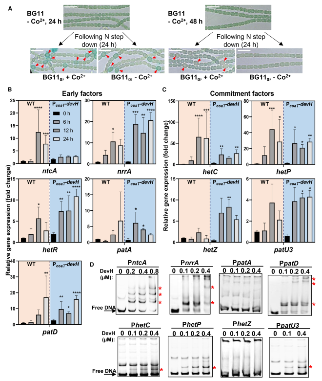 1764147266891504.png 图片 3.png