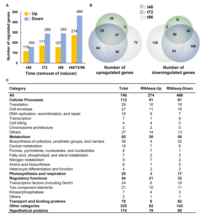 1764147282853192.png 图片 4.png