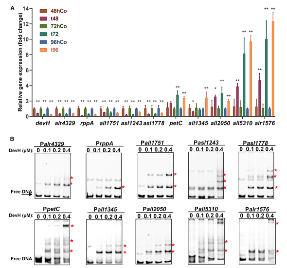 1764147304767574.png 图片 6.png