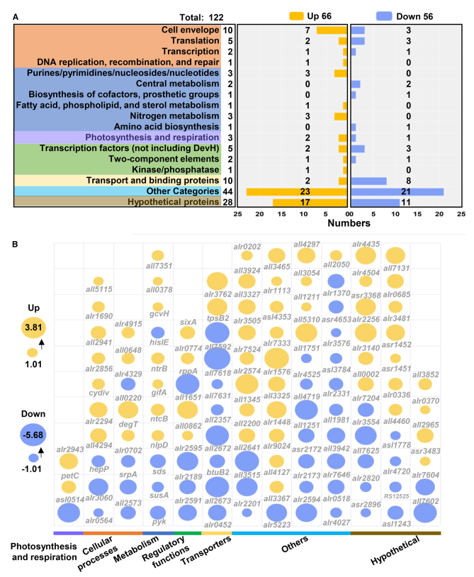 1764147316836860.png 图片 7.png