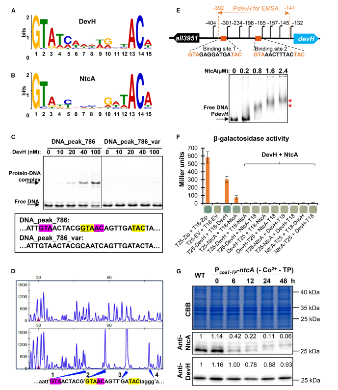 1764147327986354.png 图片 8.png