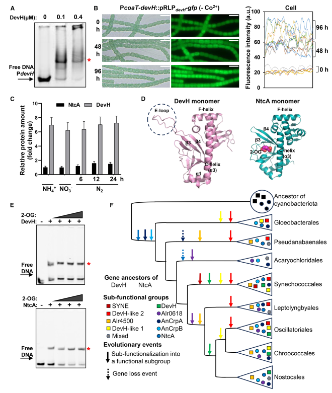 1764147338806225.png 图片 9.png