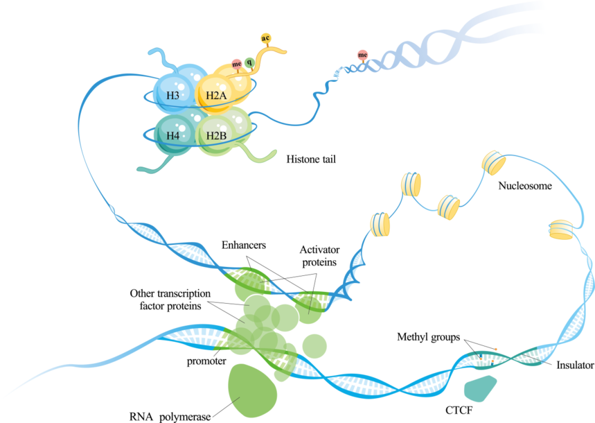 1764147684602332.png 图片1.png