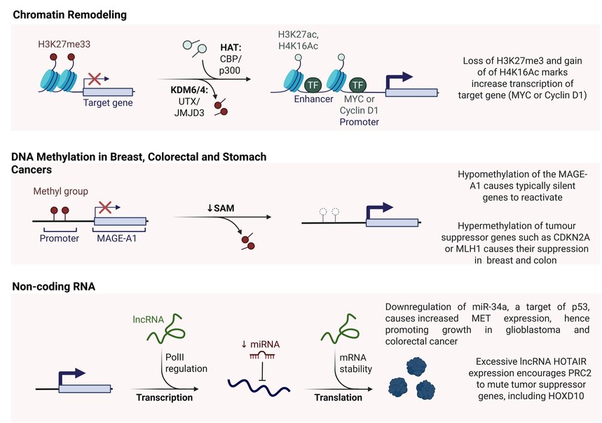 1764147770360934.jpg 图片23.jpg