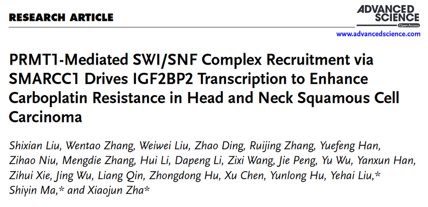 1764147783496492.png 图片3.png