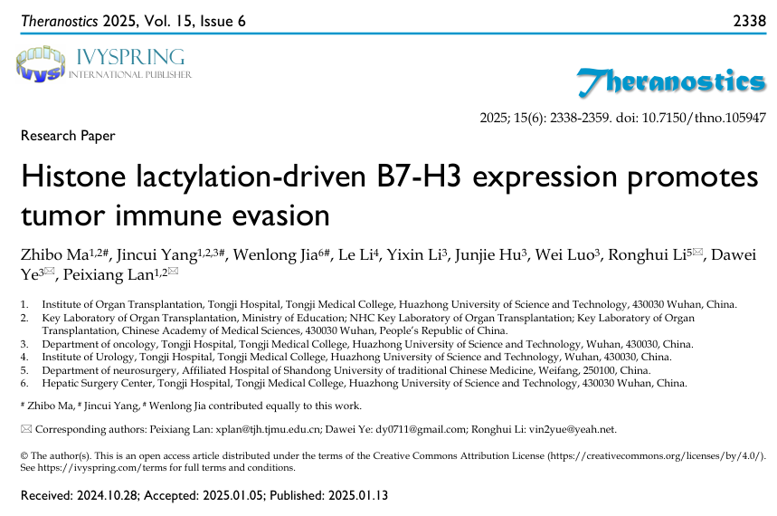 1764147795356045.png 图片4.png