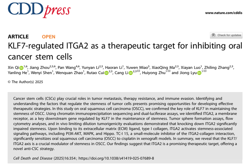 1764147805256715.png 图片5.png