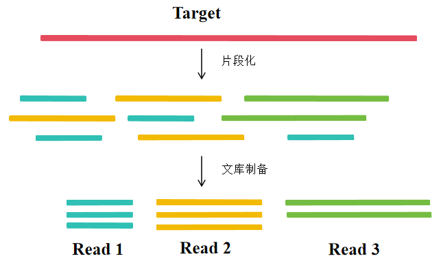 1764321527779168.png 图片1.png