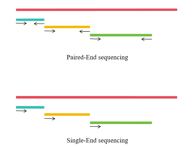 1764321538776256.png 图片2.png