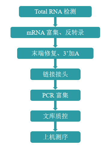 1764321556351471.png 图片3.png