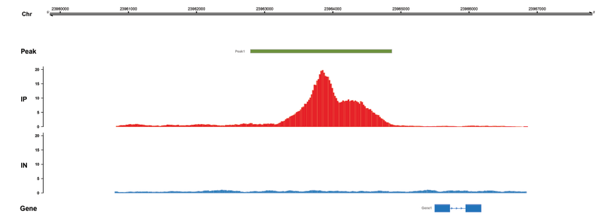 1764321596432522.png 图片4.png