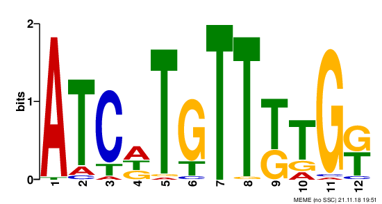 1764321607807782.png 图片5.png