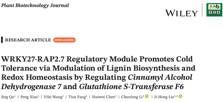 1764827826447912.png 图片3.png