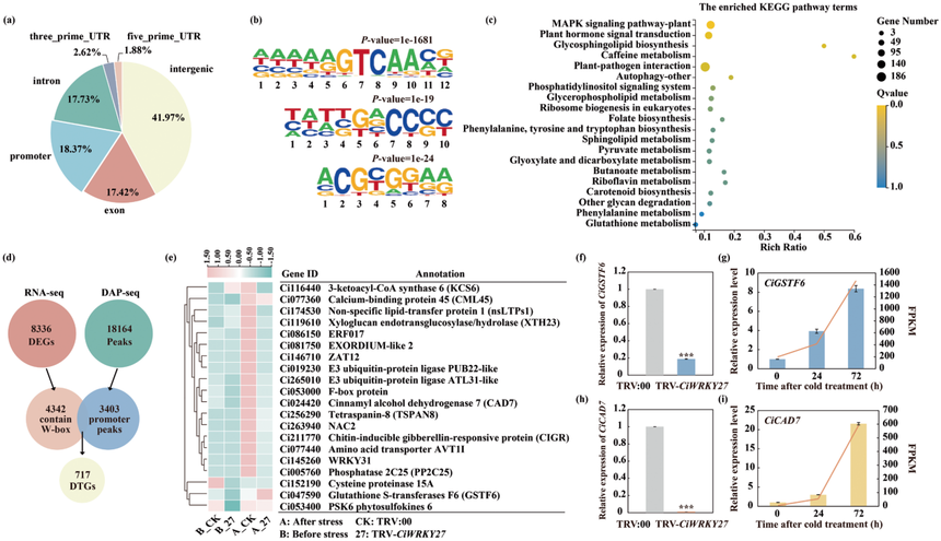 1764827856130803.png 图片4.png