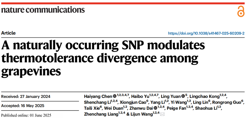 1764827873608285.png 图片5.png