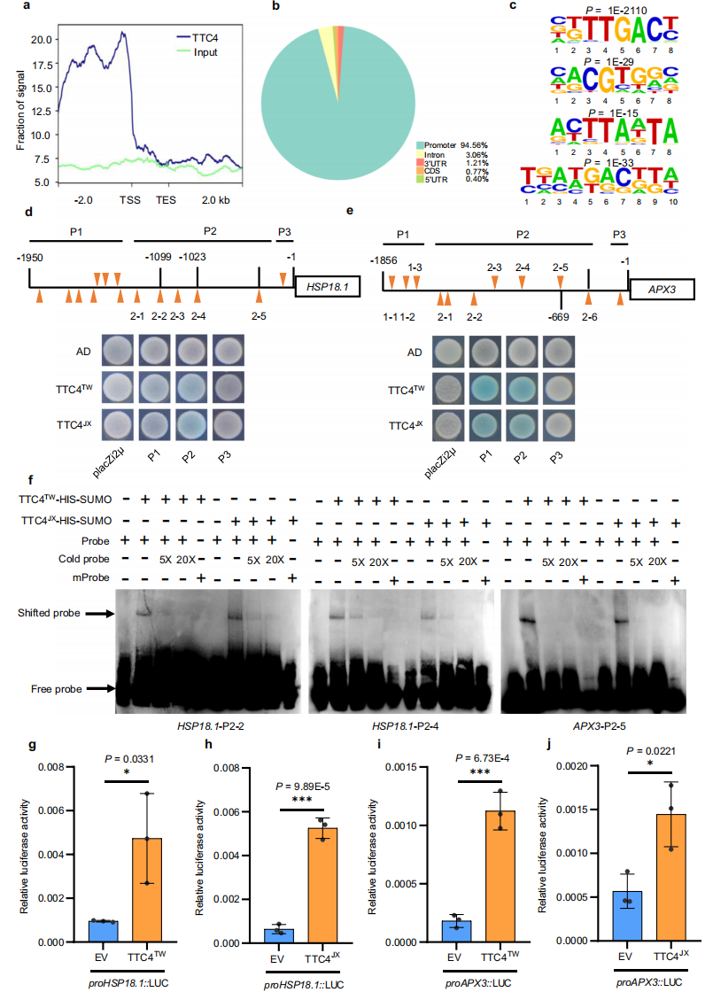 1764827895437417.png 图片6.png