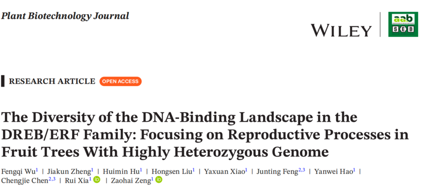 1764827929528079.png 图片7.png