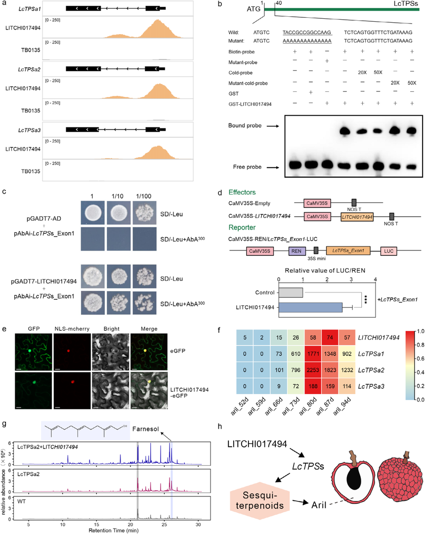 1764828232934421.png 图片8.png