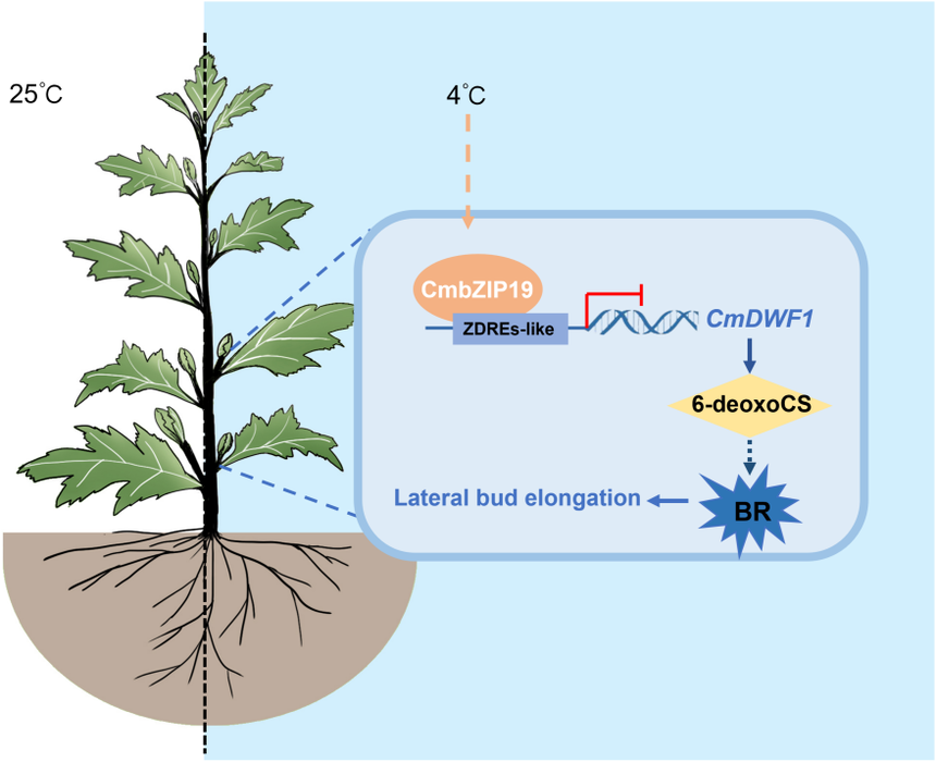 1764828281972186.png 图片10.png