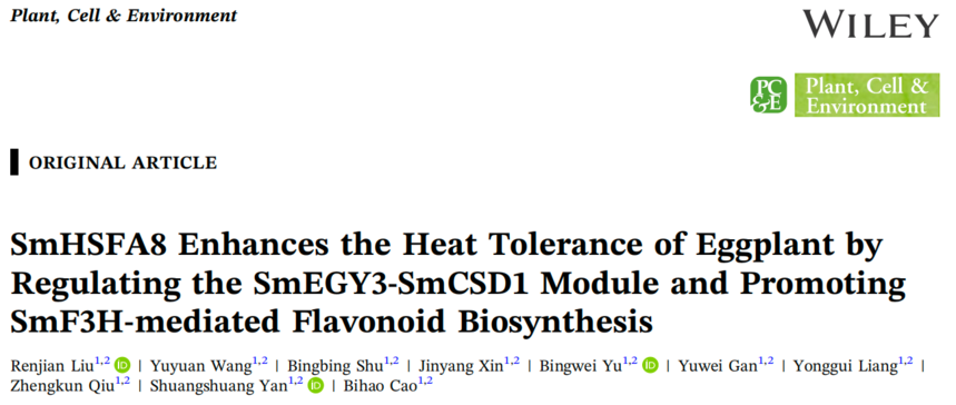 1764828300198425.png 图片11.png