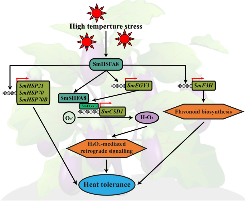 1764828337838163.png 图片12.png