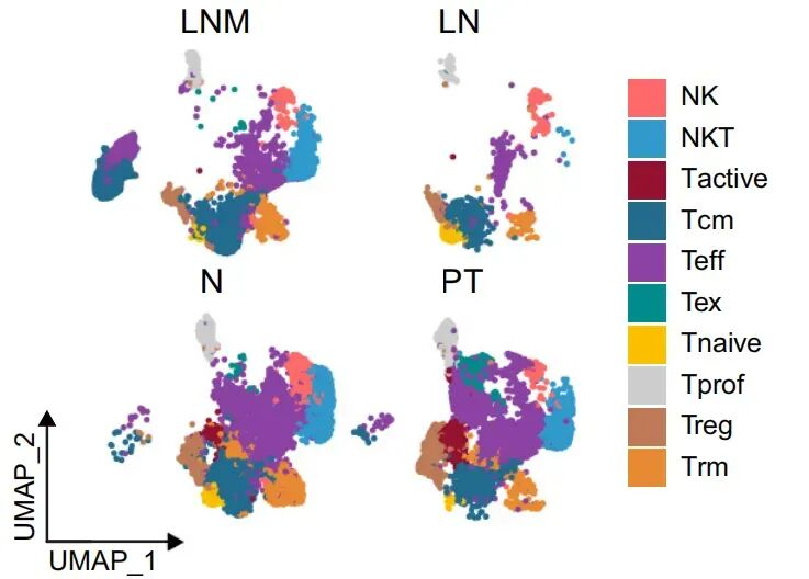 1764828634223990.png 图片3.png