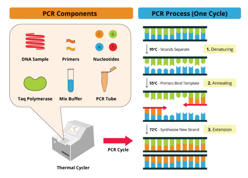 1764925385501128.png 图片1.png