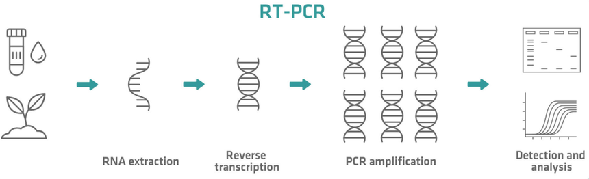 1764925447182113.png 图片3.png