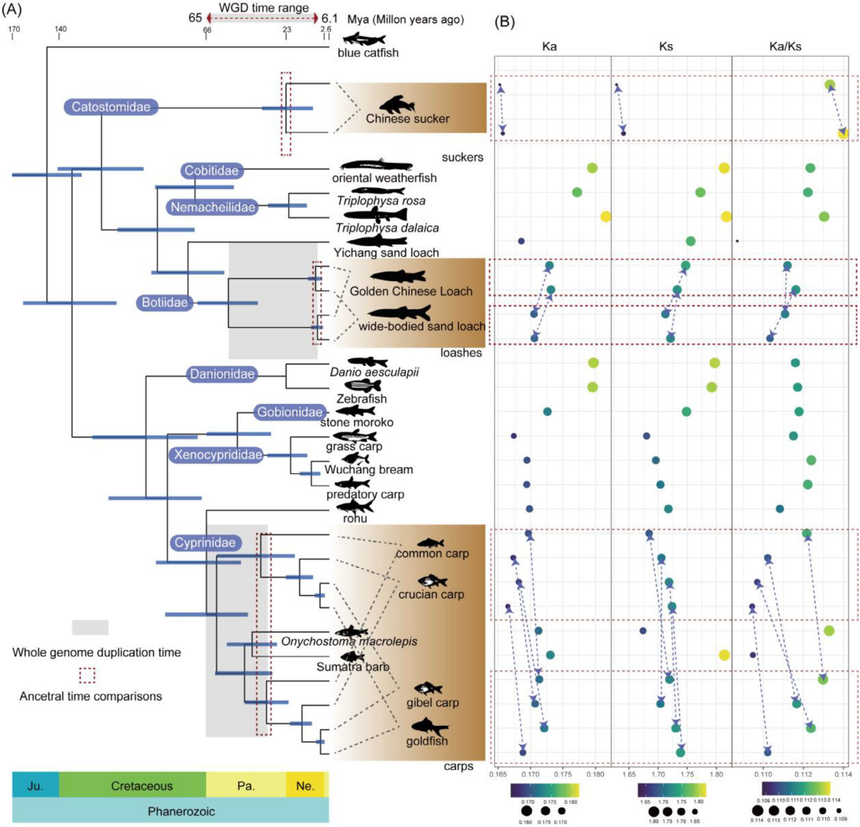 1765175899594522.png 图片3.png