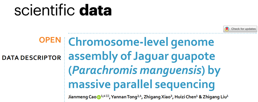 1765175914952618.png 图片4.png