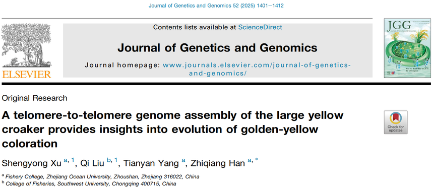 1765175944559058.png 图片6.png