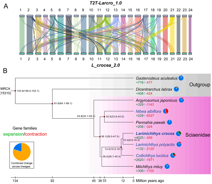 1765175959841702.png 图片7.png